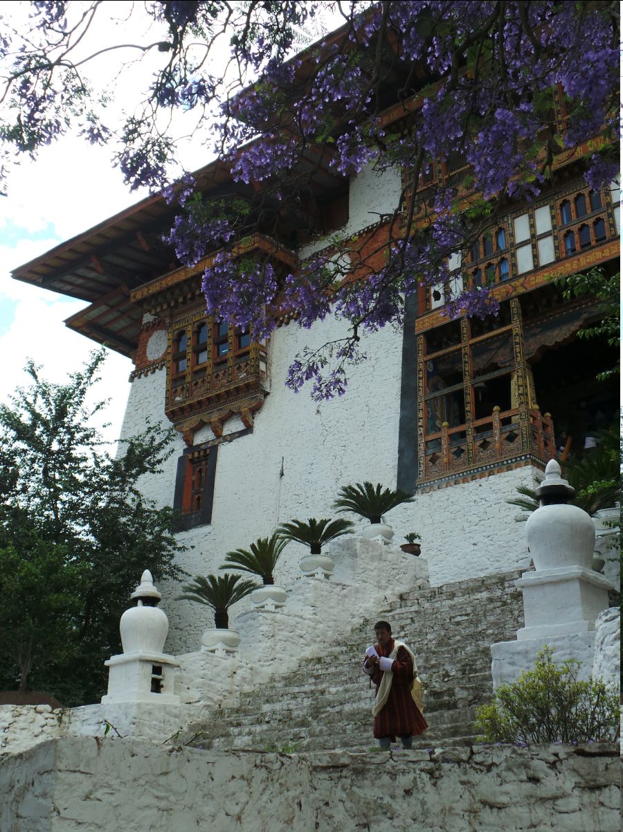 Punakha Dzong47